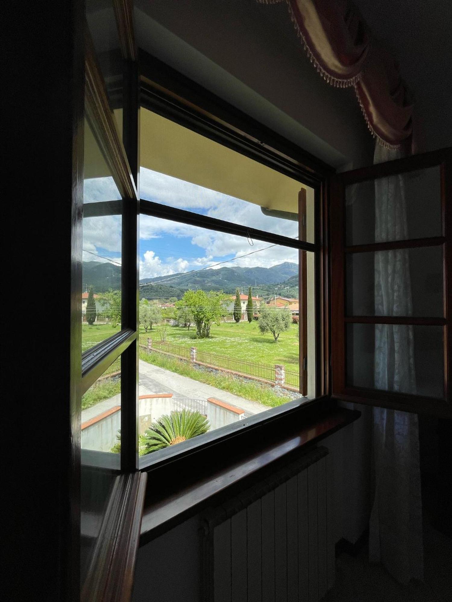 Lemon Villa Camaiore