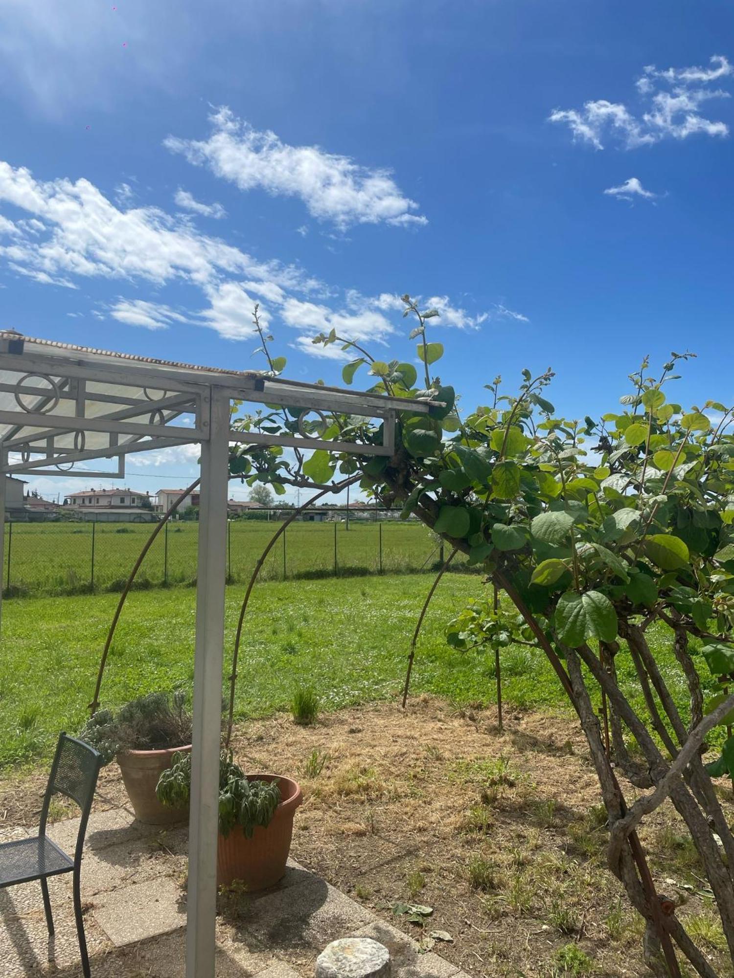 Villa Lemon *